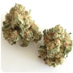 Шишки "White Widow"  (Белая вдова)  Гидропоника -  Бошка VHQ в Искитиме