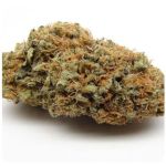 Шишки AK47  (Гидропоника, Бошка) VHQ в Искитиме